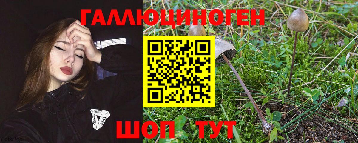 ГАШ  Экстази  Свободный  МЕФ   Вход с VPN  Каннабис 