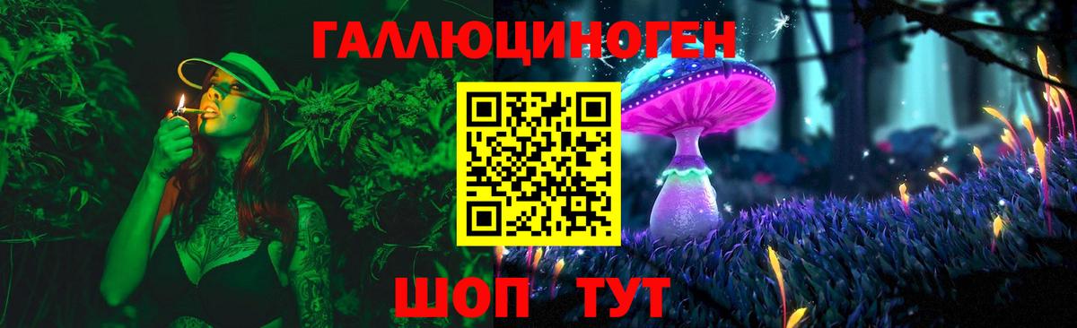 Свободный  Псилоцибиновые грибы Psilocybine cubensis  Псилоцибиновые грибы Psilocybe  Вход с VPN 